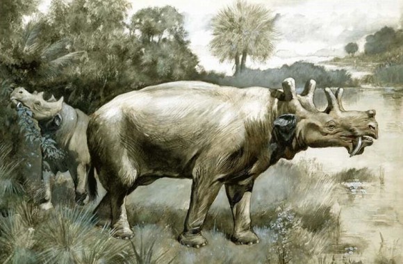 泰坦級哺乳動物——尤因它獸（恐角獸）